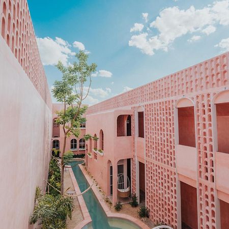 Casa Amate 61 Boutique Hostel 梅里达 外观 照片