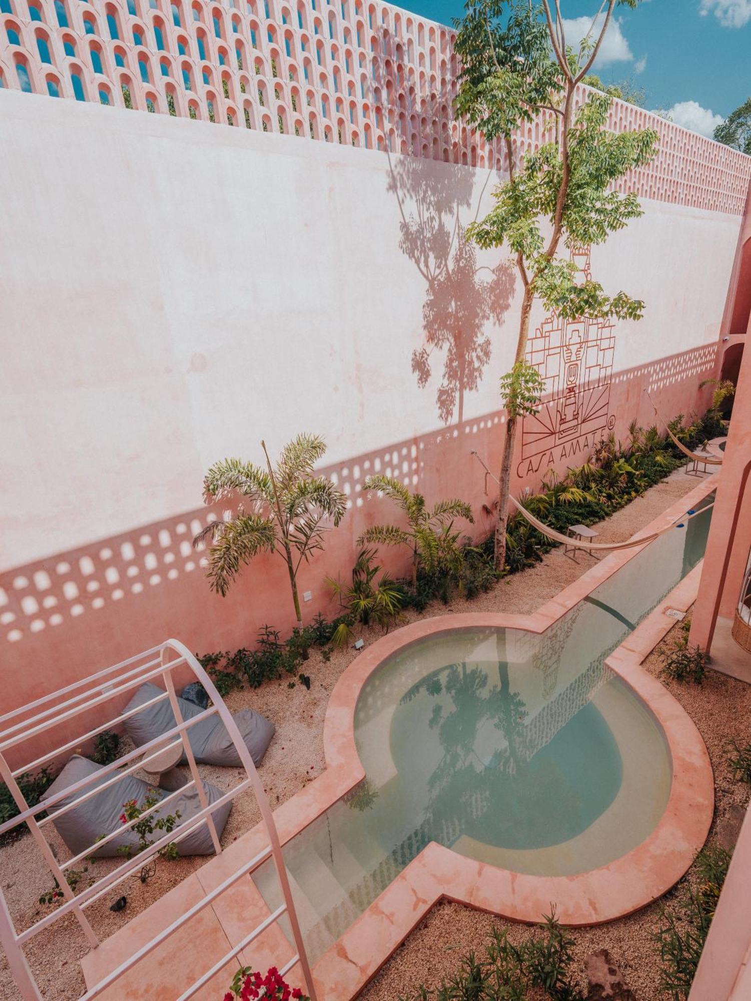 Casa Amate 61 Boutique Hostel 梅里达 外观 照片