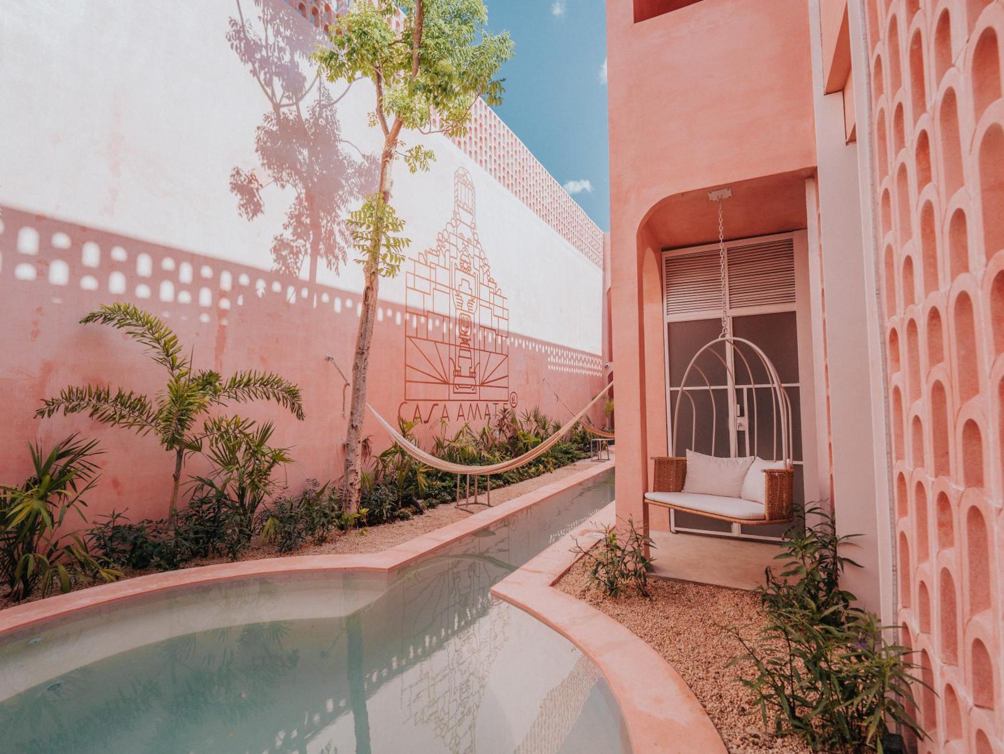 Casa Amate 61 Boutique Hostel 梅里达 外观 照片