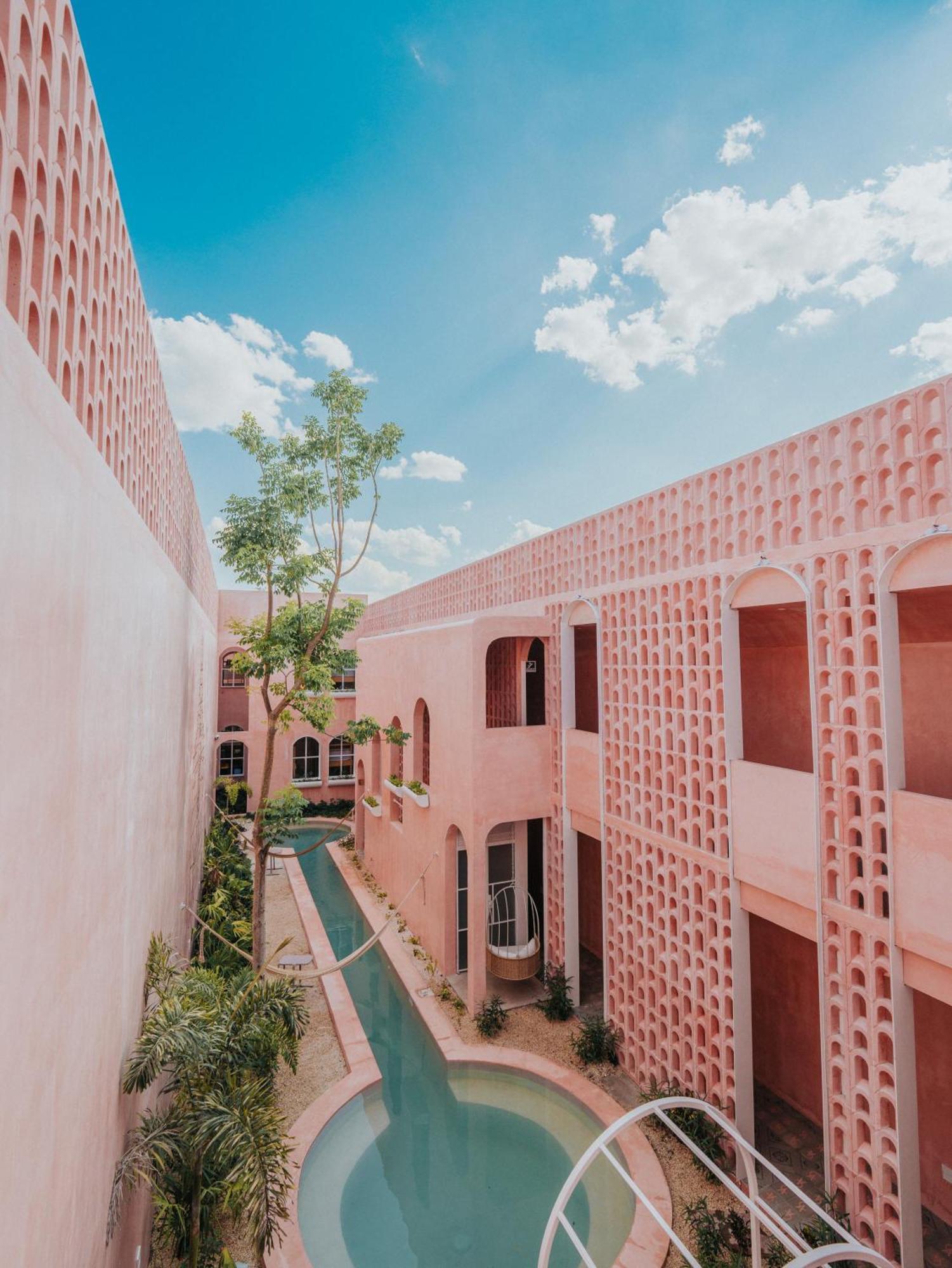 Casa Amate 61 Boutique Hostel 梅里达 外观 照片
