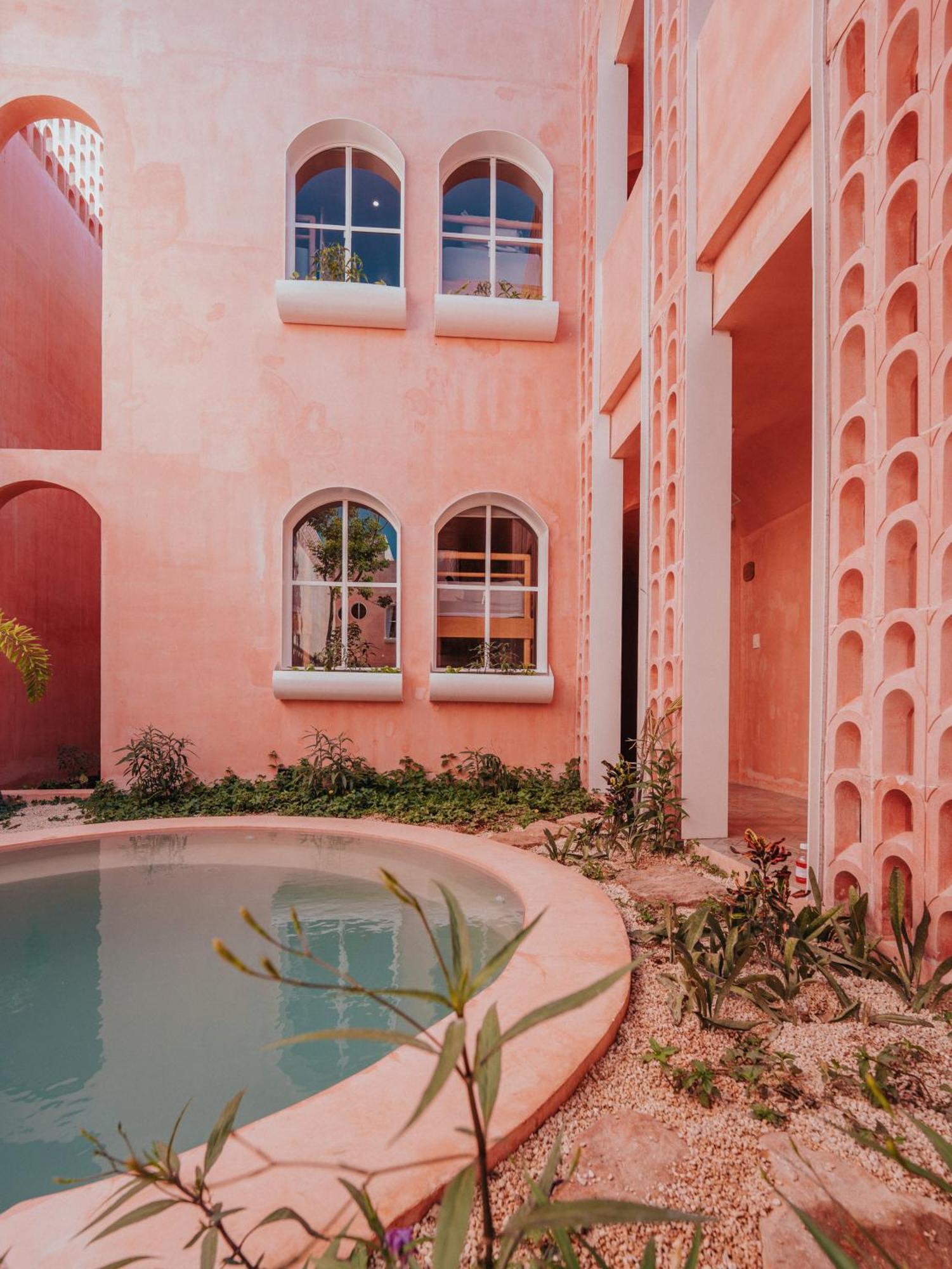Casa Amate 61 Boutique Hostel 梅里达 外观 照片