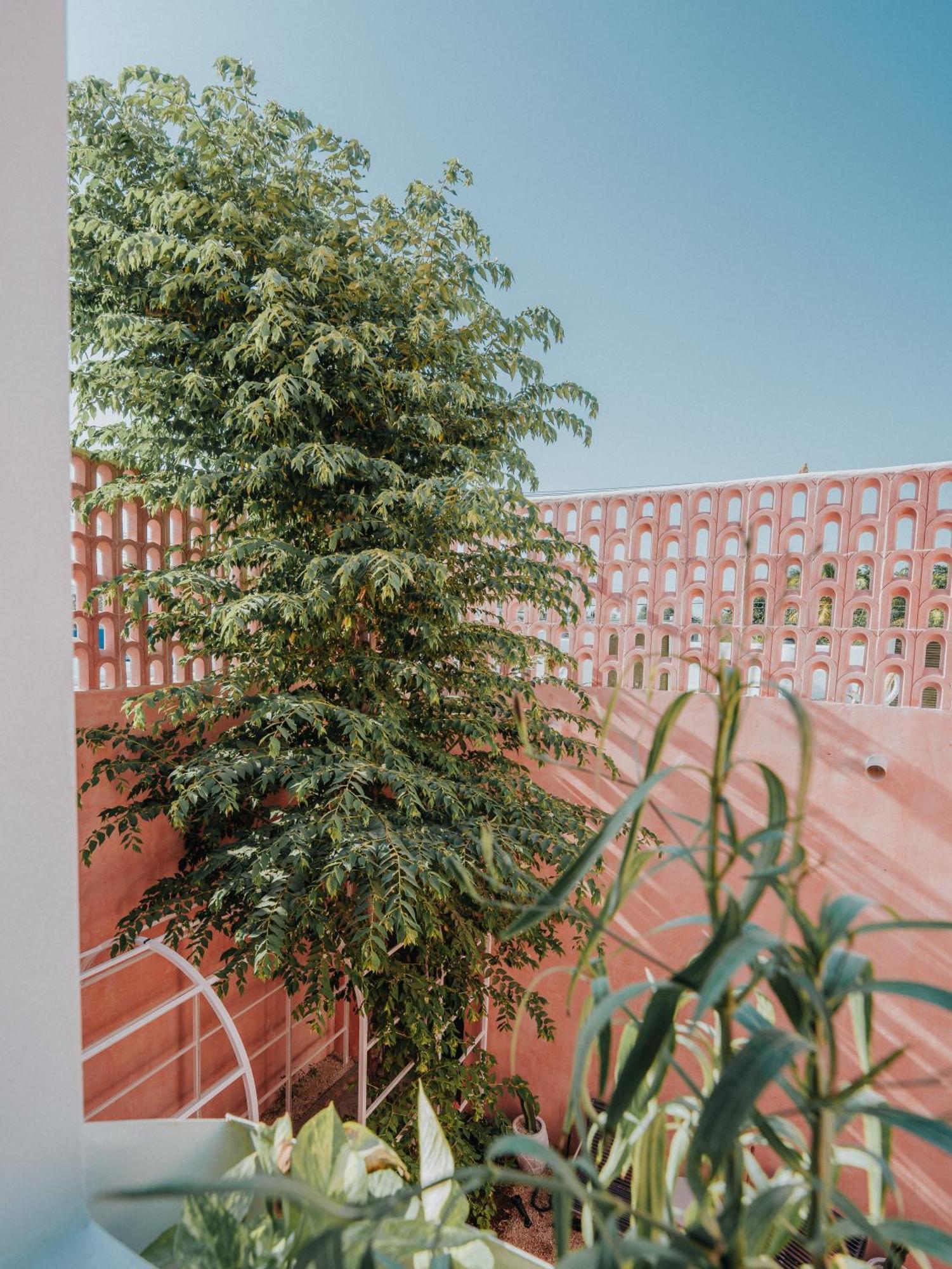 Casa Amate 61 Boutique Hostel 梅里达 外观 照片