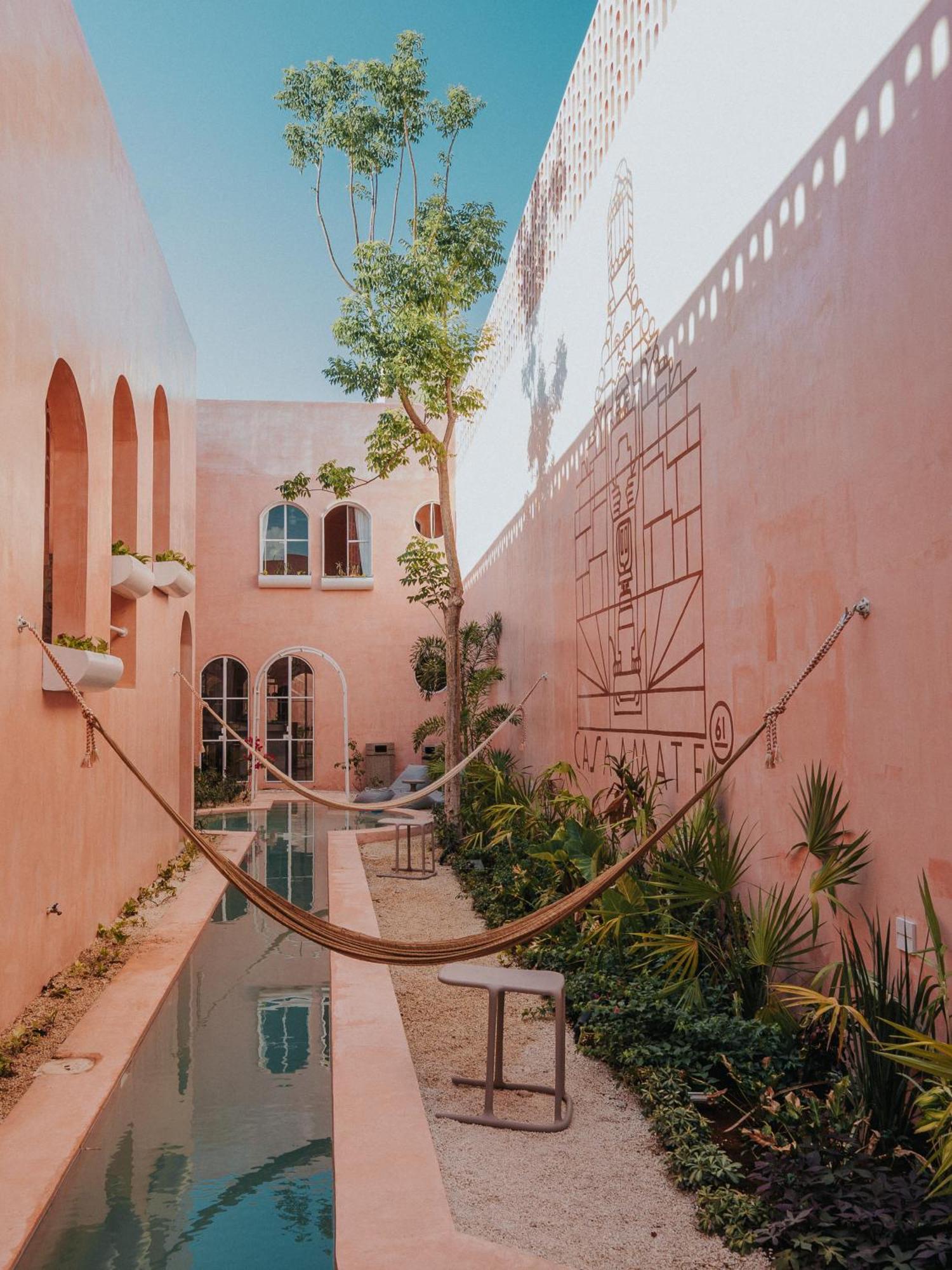 Casa Amate 61 Boutique Hostel 梅里达 外观 照片